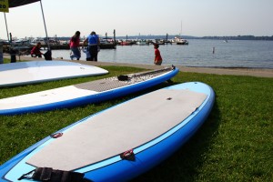Paddle Boards in Kirkland